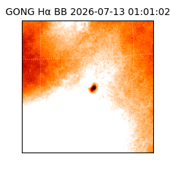 gong - 2026-07-13T01:01:02