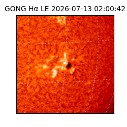 gong - 2026-07-13T02:00:42