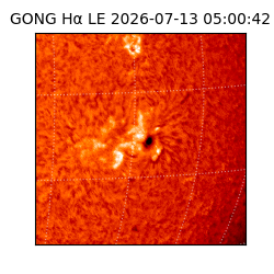 gong - 2026-07-13T05:00:42