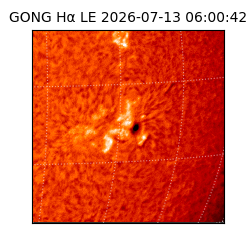 gong - 2026-07-13T06:00:42