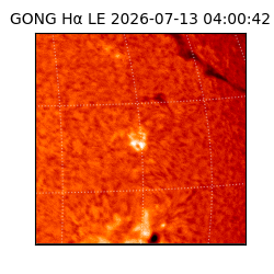 gong - 2026-07-13T04:00:42