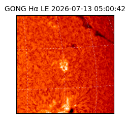 gong - 2026-07-13T05:00:42
