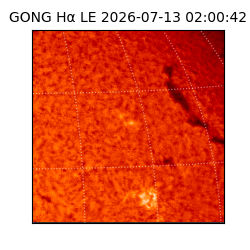 gong - 2026-07-13T02:00:42