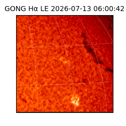 gong - 2026-07-13T06:00:42