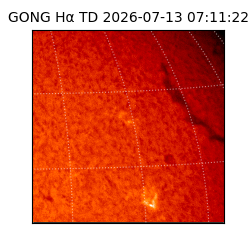 gong - 2026-07-13T07:11:22