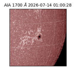 saia - 2026-07-14T01:00:28.717000