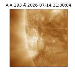saia - 2026-07-14T11:00:04.842000