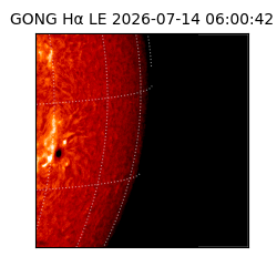gong - 2026-07-14T06:00:42