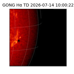 gong - 2026-07-14T10:00:22
