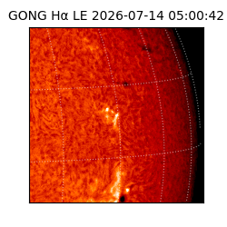 gong - 2026-07-14T05:00:42