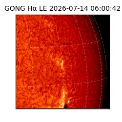 gong - 2026-07-14T06:00:42