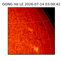 gong - 2026-07-14T03:00:42