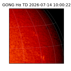 gong - 2026-07-14T10:00:22
