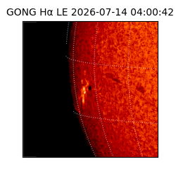 gong - 2026-07-14T04:00:42