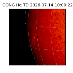 gong - 2026-07-14T10:00:22