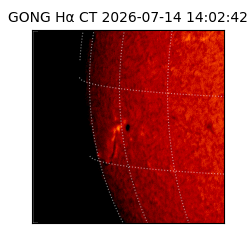 gong - 2026-07-14T14:02:42