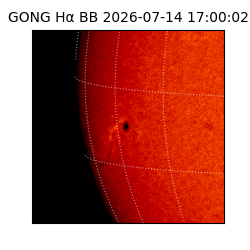 gong - 2026-07-14T17:00:02