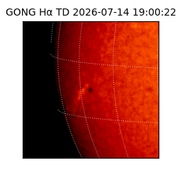 gong - 2026-07-14T19:00:22