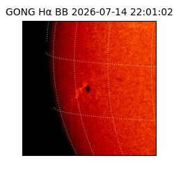 gong - 2026-07-14T22:01:02