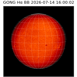 gong - 2026-07-14T16:00:02