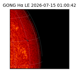gong - 2026-07-15T01:00:42