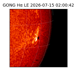 gong - 2026-07-15T02:00:42