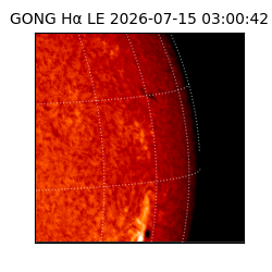 gong - 2026-07-15T03:00:42