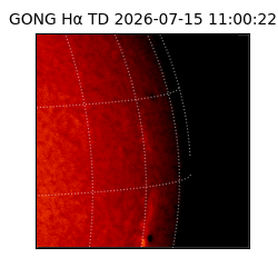 gong - 2026-07-15T11:00:22
