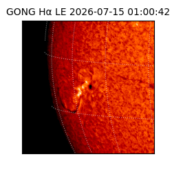 gong - 2026-07-15T01:00:42