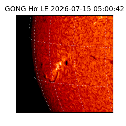 gong - 2026-07-15T05:00:42