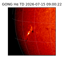 gong - 2026-07-15T09:00:22