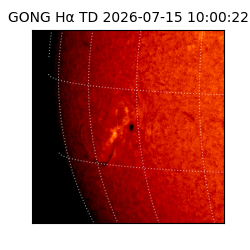 gong - 2026-07-15T10:00:22