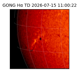 gong - 2026-07-15T11:00:22