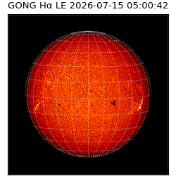 gong - 2026-07-15T05:00:42