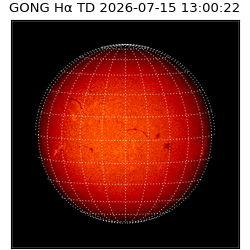 gong - 2026-07-15T13:00:22