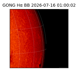 gong - 2026-07-16T01:00:02