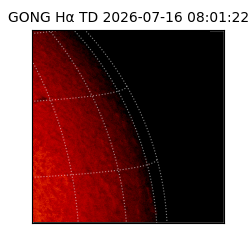 gong - 2026-07-16T08:01:22