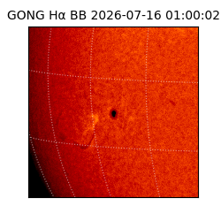 gong - 2026-07-16T01:00:02