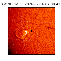 gong - 2026-07-16T07:00:43