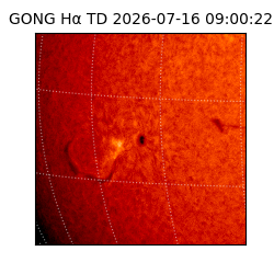 gong - 2026-07-16T09:00:22
