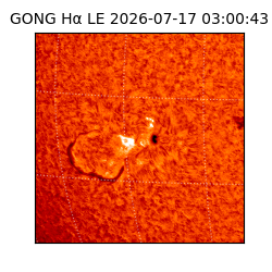 gong - 2026-07-17T03:00:43