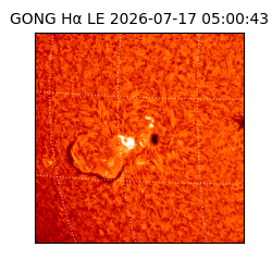 gong - 2026-07-17T05:00:43
