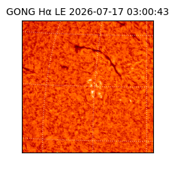 gong - 2026-07-17T03:00:43