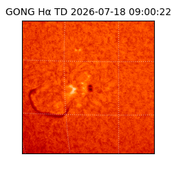 gong - 2026-07-18T09:00:22