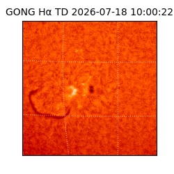 gong - 2026-07-18T10:00:22