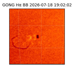 gong - 2026-07-18T19:02:02