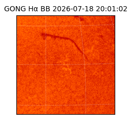 gong - 2026-07-18T20:01:02