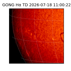 gong - 2026-07-18T11:00:22
