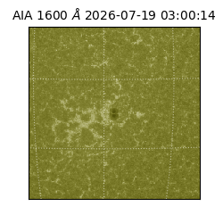 saia - 2026-07-19T03:00:14.124000
