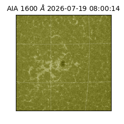 saia - 2026-07-19T08:00:14.123000